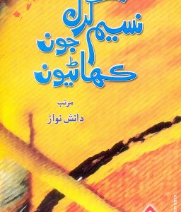 Naseem Kharl jo kahanyoon -نسيم کرل جون ڪھاڻيون-ڪتاب