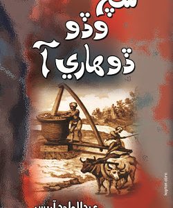 Sach Wado Dohari Aa writer Abdul Wahid Arisar سچ وڏو ڏوھاري آ عبدالواحد آريسر