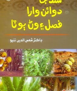 Sindh Je Dawaun Wara Fasal Ain Wan Boota