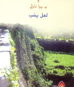 Hik Sard Diwar Sindhi Novel Writer-Lal Pushp-سنڌي ناول ھڪ سرد ديوار ليکڪ لعل پشپ