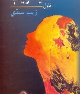 Seeta Zainab-Sindhi Novel Written by famous Sindhi Writer Zaib Sindhi