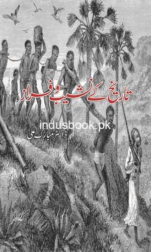 Tareekh K Nasheb o Fraaz تاريخ کے نشیب و فراز
