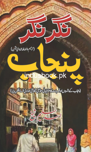 نگر نگر پنجاب | Nagr Nagr Punjab | اسد سلیم شیخ
